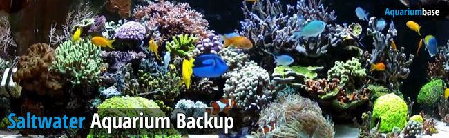 saltwater aquarium backup